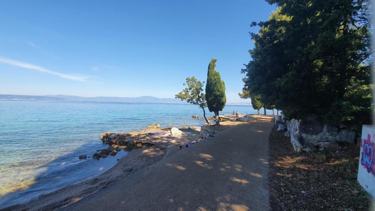 Divine View Apartma Apartment